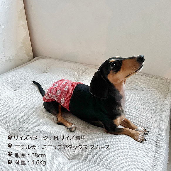 絲綢混紡長型狗用肚皮包裹（超/小型犬）波爾卡圓點圖案 S/M 尺寸 第1張的照片