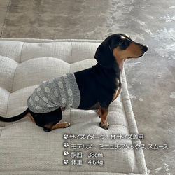 絲綢混紡長型狗用肚皮包裹（超/小型犬）波爾卡圓點圖案 S/M 尺寸 第4張的照片