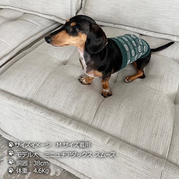 絲綢混紡長型狗用肚皮包裹（超/小型犬）波爾卡圓點圖案 S/M 尺寸 第3張的照片