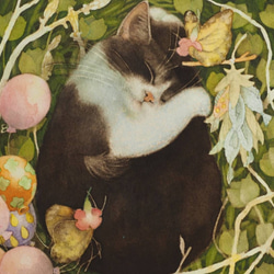 ハチワレ猫　「　おやすみ　」 5枚目の画像