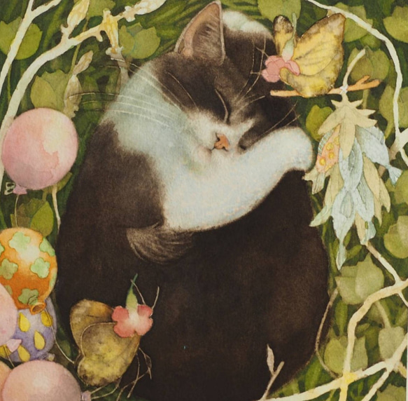 ハチワレ猫　「　おやすみ　」 5枚目の画像