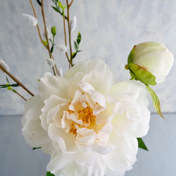 リニューアル✨【大輪ホワイト芍薬と猫柳】｜アーティフィシャルフラワー 花瓶アレンジ| 春｜ギフト・インテリア雑貨 7枚目の画像