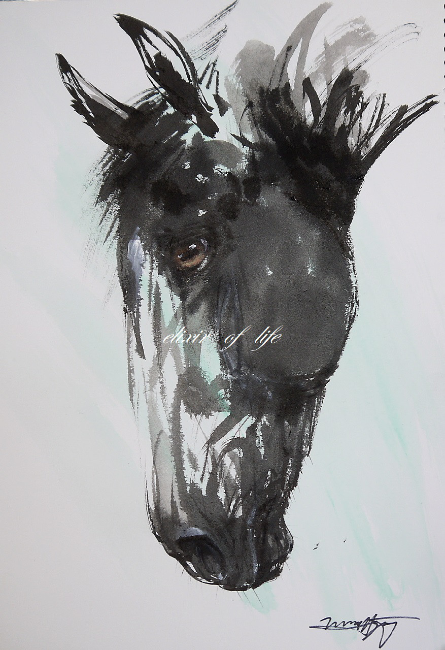 『瞳（まなざし）』　水彩肉筆画