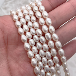 淡水パール 本真珠 艶々 ライス しずく ホワイト系 ブレス用 半連20cm 7.5~8mm*5.5~6mm 2枚目の画像