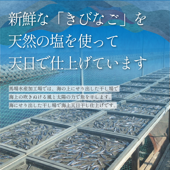 きびなご 塩干し 1kg（500g×２個）鹿児島県 キビナゴ 魚 海鮮 魚介類 大容量 魚干し 3枚目の画像