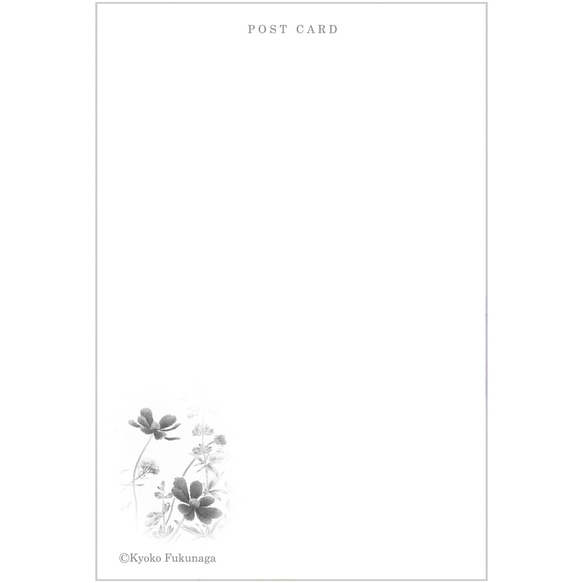 ポストカード　お好きな4枚セット〔No.30チョコレートコスモスと秋の花〕 4枚目の画像
