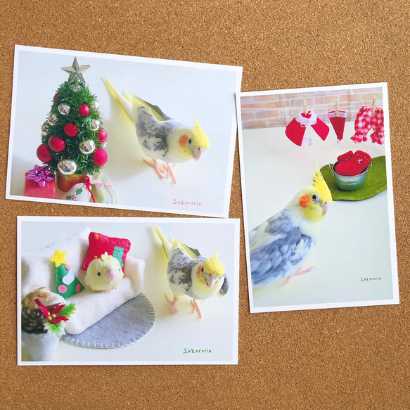 オカメインコ　クリスマスカード3枚セット⑤ 4枚目の画像