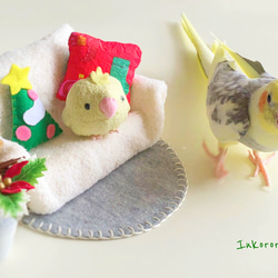 オカメインコ　クリスマスカード3枚セット⑤ 1枚目の画像