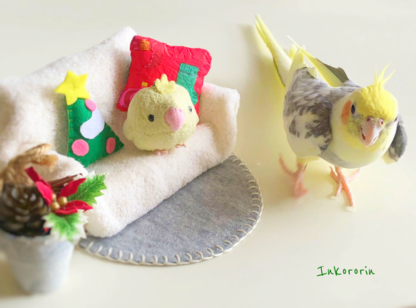 オカメインコ　クリスマスカード3枚セット⑤ 1枚目の画像