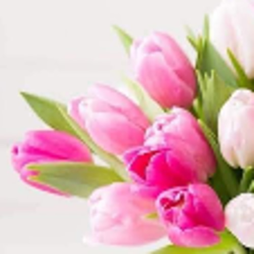 カービングナイフ フルーツカービング ソープカービング 古典ナイフ