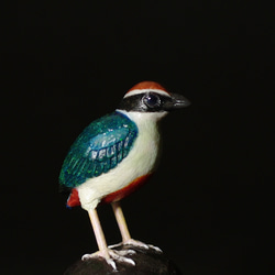 70334ca90aecb87cde41b235a6bc00