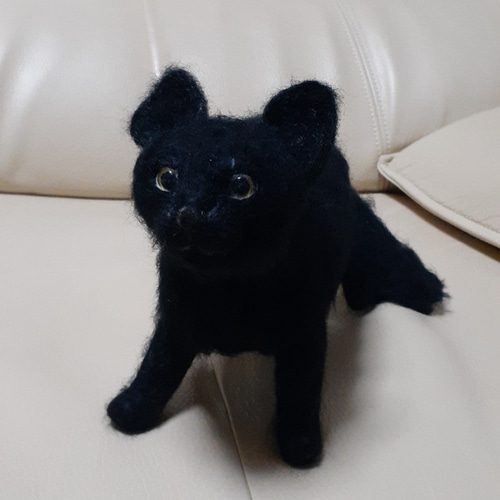 黒猫ちゃんオーダー 黒猫ちゃんオーダー