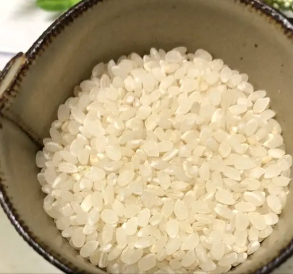 R4年産自然栽培丹波篠山コシヒカリ新白米5キロと黒豆(豆ご飯ができます)付き 2枚目の画像