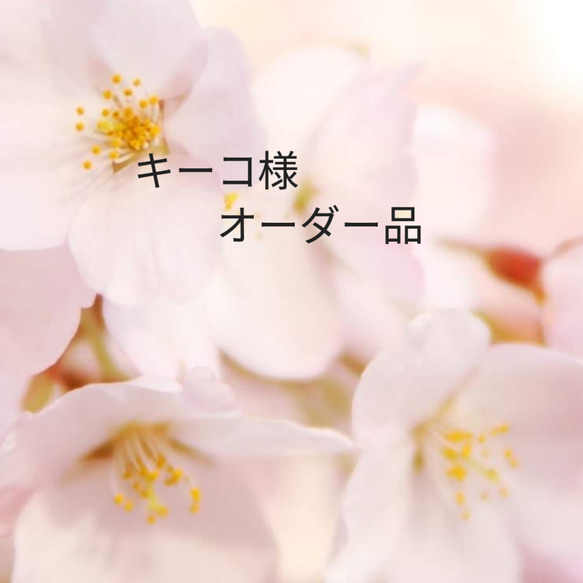 キーコ様専用 キーコ HG8678ブラウス HG8647ワンピース 2点まとめて