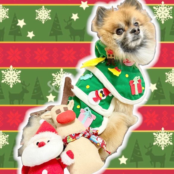 犬服　サンタ　ツリー　ポンチョ　クリスマス　ウェア　おもしろ　SS〜LL 数量限定 5枚目の画像