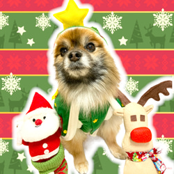 犬服　サンタ　ツリー　ポンチョ　クリスマス　ウェア　おもしろ　SS〜LL 数量限定 6枚目の画像