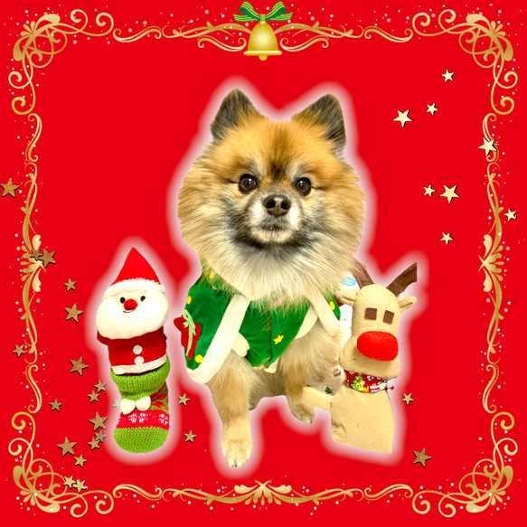 犬服　サンタ　ツリー　ポンチョ　クリスマス　ウェア　おもしろ　SS〜LL 数量限定 4枚目の画像