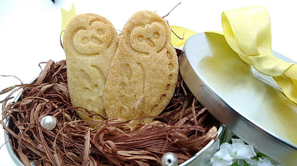 ♪貓頭鷹形狀的餅乾模具/Owl-shaped cookie cutter 第1張的照片