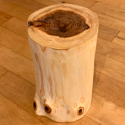 Sugi  Wood  Stool 【oil finish】No.113 1枚目の画像