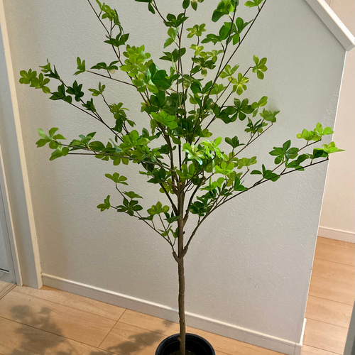ドウダンツツジの木 フェイクグリーン ポット 人工観葉植物 130cm