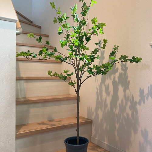 光触媒　人工観葉植物　フェイクグリーン　ドウダンツツジ130FST ドウダンツツジの木 フェイクグリーン ポット 人工観葉植物 130cm