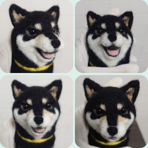 柴犬羊毛 羊毛フェルト ハンドメイド 黒柴 羊毛フェルト