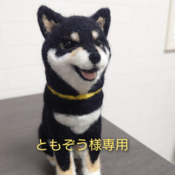 マロンだ様　オーダーページ　羊毛フェルト　黒柴　ヨークシャテリア　チャーム ヨークシャーテリア／黒茶色・おすわり】羊毛フェルトぬいぐるみ