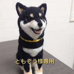 柴犬　羊毛　羊毛フェルト　ハンドメイド