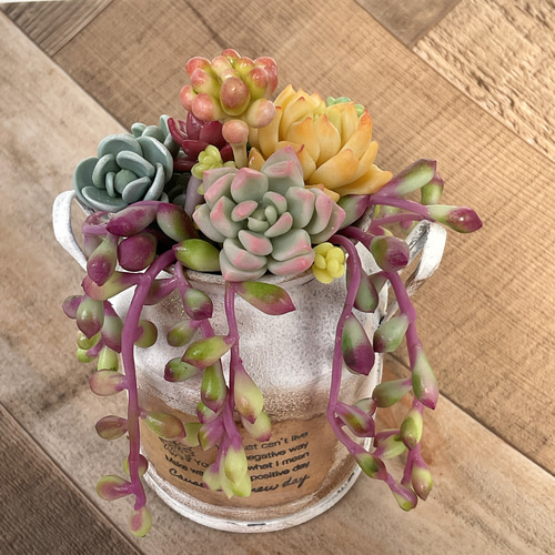 多肉♡ルビーネックレス♪ 樹脂粘土 ハンドメイド多肉植物 寄植え  