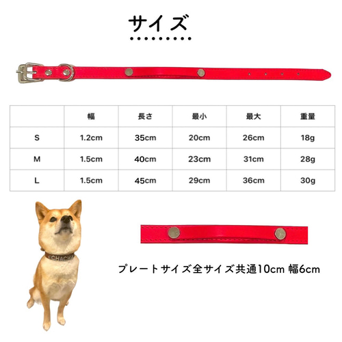 きらり　最安値　犬　猫　首輪　ペット　キラキラ　名前入り　オーダー 楽天市場】動画あり お名前入り首輪 XS〜Lサイズ キラキラ選べる
