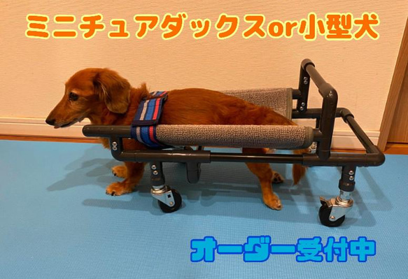 ワンちゃん4輪歩行器!リハビリ!食事補助!犬の歩行器!体制維持!犬