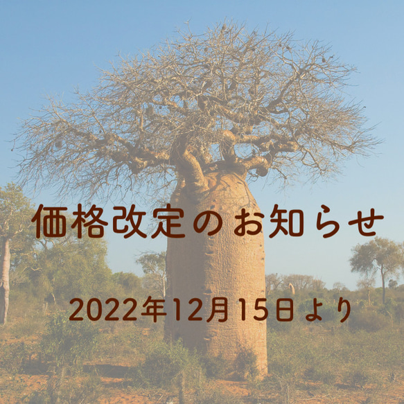 価格改定のお知らせ 1枚目の画像