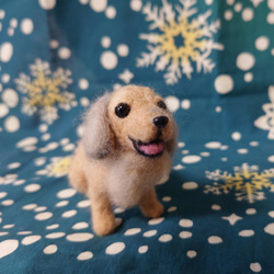 ちょこ様ご依頼品 ダックスちゃん 羊毛フェルト mi-wa 通販 16305523