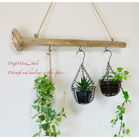 流木インテリア 端がコブ付きの天然流木のハンガーフック 流木ハンガー ハンギング ウォールデコ 北欧 No.163 2枚目の画像