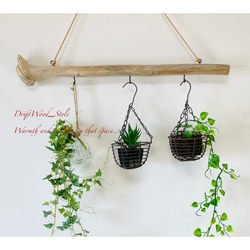 流木インテリア 端がコブ付きの天然流木のハンガーフック 流木ハンガー ハンギング ウォールデコ 北欧 No.163 1枚目の画像