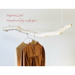 流木インテリア 太くコブのある枝の中型ハンガーラック 北欧 衣装掛け ハンギング 吊り下げ ハンガーポール 癒し 4枚目の画像