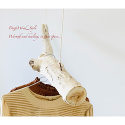 流木インテリア 太くコブのある枝の中型ハンガーラック 北欧 衣装掛け ハンギング 吊り下げ ハンガーポール 癒し 3枚目の画像