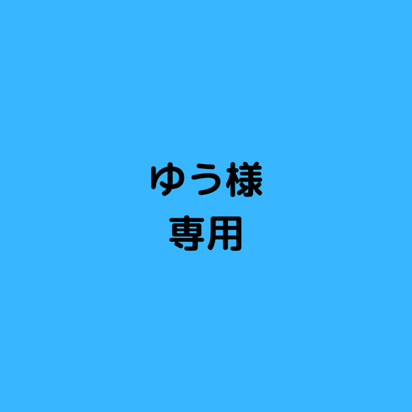 ゆう様専用ページ 1枚目の画像