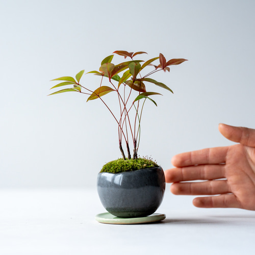 ナンテン 造花 インテリア 盆栽 ナンテン 造花 インテリア 盆栽