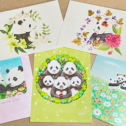 パンダのポストカード5枚セット① 1枚目の画像