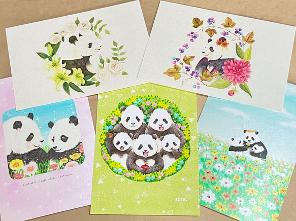 パンダのポストカード5枚セット① 1枚目の画像