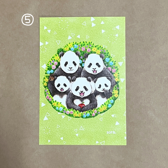パンダのポストカード5枚セット① 5枚目の画像