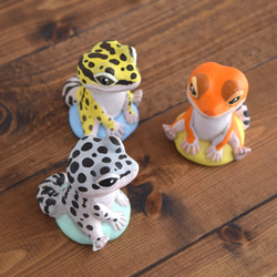 坐著的利奧帕 第7張的照片