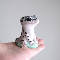 坐著的利奧帕 第5張的照片