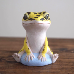 坐著的利奧帕 第2張的照片