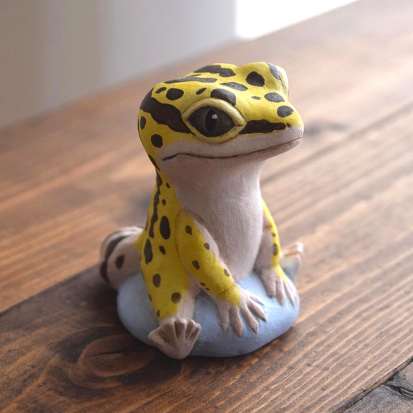 坐著的利奧帕 第6張的照片