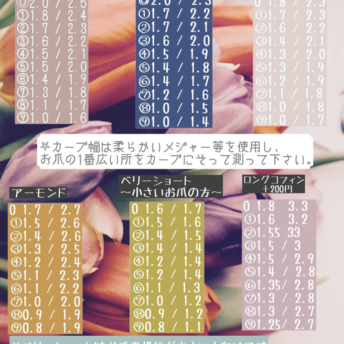 サイズ測定用チップ/ネイルチップ/オーダー/お試しチップ ネイルチップ