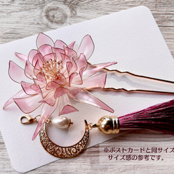 moonlight beauty hair stick 第9張的照片