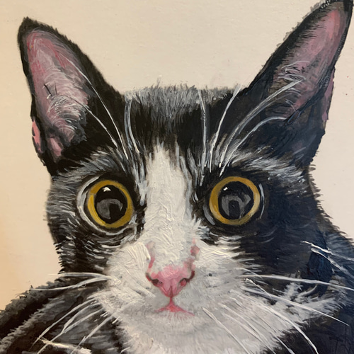 絵/絵画/猫/ハチワレ/原画/A4/アクリル画/手書き 絵/絵画./猫/ハチワレ/原画/A4/アクリル画/手書き 絵画 大橋昭子