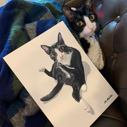 絵画 猫 A4 アクリル画 原画 手書き ハチワレ 似顔絵 7枚目の画像